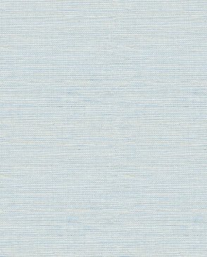 Обои голубые Pacifica FD24283 изображение 0
