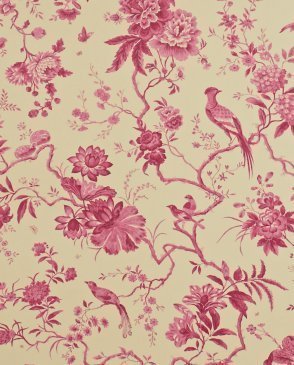 Обои Sanderson Classic Collection 2 Classic Collection 2 DCLAPI-104 изображение 0