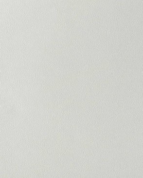 Обои с эффектом окрашеной стены Uno FN26029 изображение 0