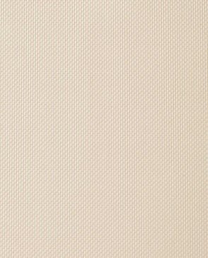 Обои оранжевые Uno FN26040 изображение 0