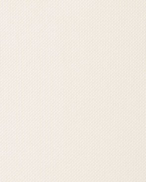 Обои оранжевые Uno FN26041 изображение 0