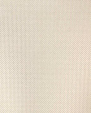 Обои оранжевые Uno FN26042 изображение 0