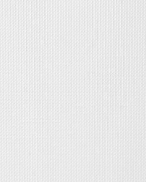 Обои белые Uno FN26049 изображение 0