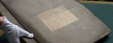 Обои Cole & Son The Gardens 120-6021S изображение 4