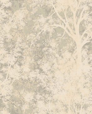 Обои Загадочный лес IMG11-002-1 изображение 0