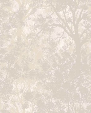 Обои Загадочный лес IMG11-005 изображение 0