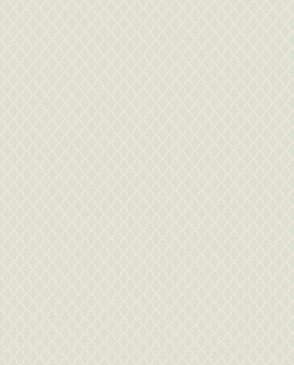 Обои Загадочный лес IMG12-005-5 изображение 0