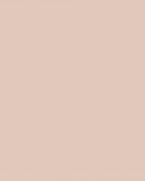 Обои Загадочный лес IMG2-003 изображение 0