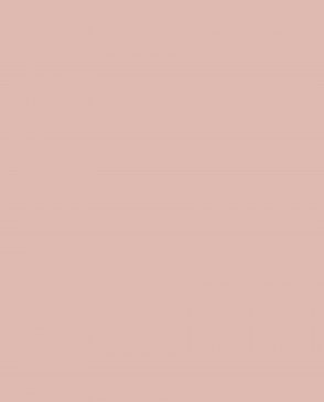 Обои Загадочный лес IMG2-003-1 изображение 0