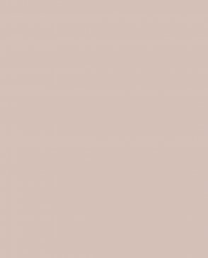 Обои Loymina Загадочный лес IMG2-003-1