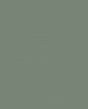 Обои Загадочный лес IMG2-005 изображение 0