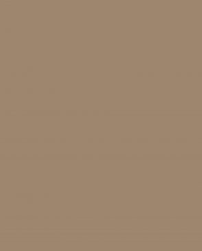 Обои Loymina Загадочный лес IMG2-005-2 изображение 0