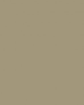 Обои Loymina Загадочный лес IMG2-005-2