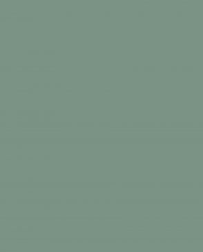 Обои Loymina Загадочный лес IMG2-005