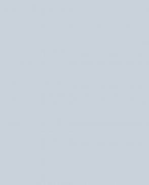 Обои Loymina Загадочный лес IMG2-006