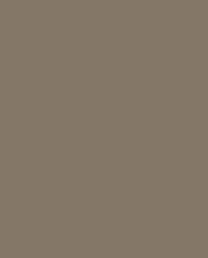 Обои Загадочный лес IMG2-008 изображение 0