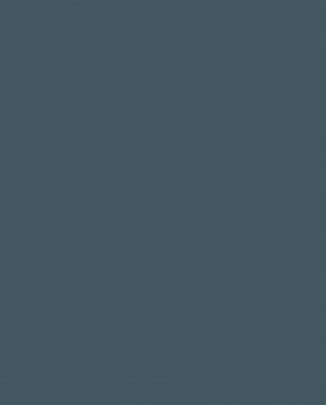 Обои Loymina Загадочный лес IMG2-018 изображение 0