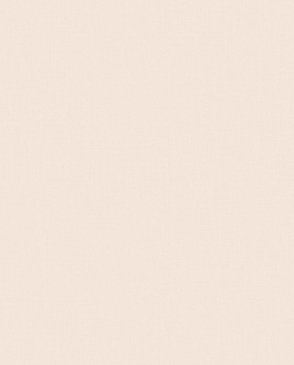 Обои Загадочный лес IMG5-001 изображение 0