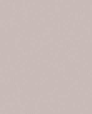 Обои Loymina Загадочный лес IMG5-002-2