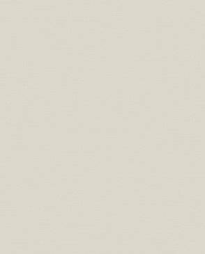 Обои Loymina Загадочный лес IMG5-005 изображение 0