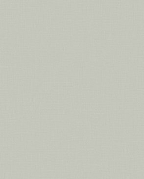 Обои Загадочный лес IMG5-005-1 изображение 0