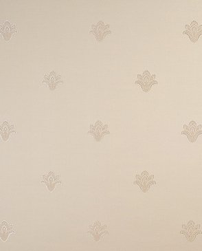 Обои светлые Raffaello kte02003 изображение 0