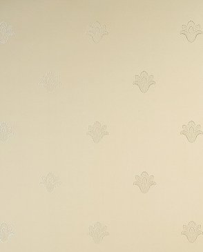 Обои Raffaello kte02012 изображение 0