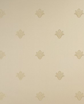 Обои светлые Raffaello kte02018 изображение 0