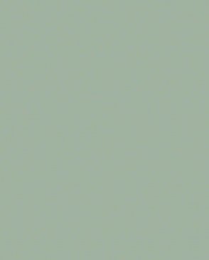 Обои Весеннее утро KTS12-005 изображение 0