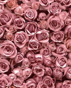 Обои Ugepa Escapade L77003