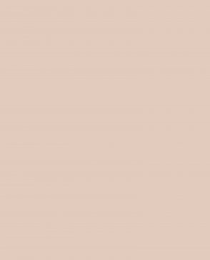 Обои Loymina Lotus LOT1-016 изображение 0