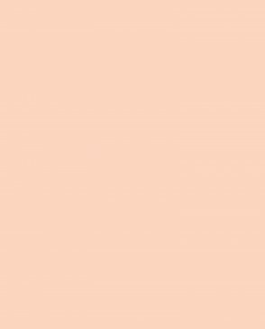 Обои Loymina Lotus LOT1-122 изображение 0