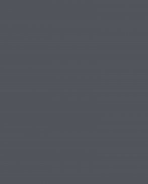 Обои Loymina Lotus LOT1-145 изображение 0