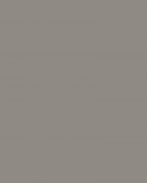 Обои Loymina Lotus LOT1-205 изображение 0