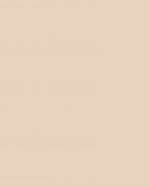 Обои Loymina Lotus LOT1-302 изображение 0