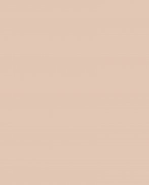 Обои Loymina Lotus LOT1-303 изображение 0