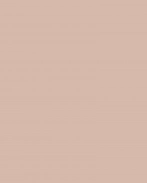 Обои Loymina Lotus LOT1-304 изображение 0