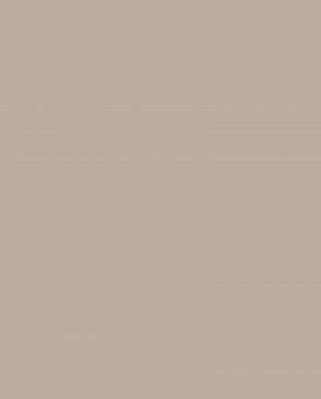 Обои Loymina Lotus LOT1-602 изображение 0