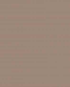 Обои Loymina Lotus LOT1-603 изображение 0