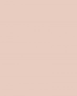 Обои Loymina Lotus LOT1-702 изображение 0