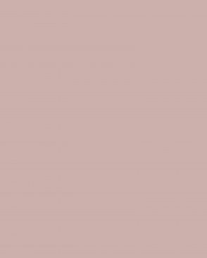 Обои Loymina Lotus LOT1-706 изображение 0