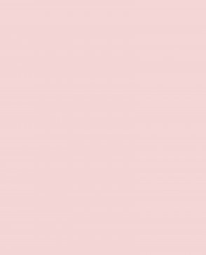 Обои Loymina Lotus LOT1-806 изображение 0