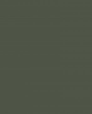 Обои Loymina Lotus LOT1-905 изображение 0