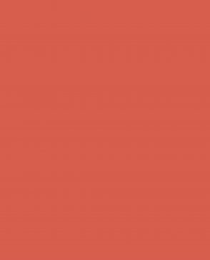 Обои Loymina Lotus Universe LOT2-112 изображение 0