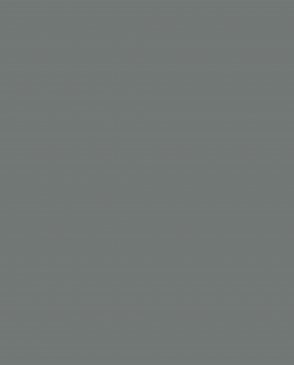 Обои Loymina Lotus Universe LOT2-114 изображение 0