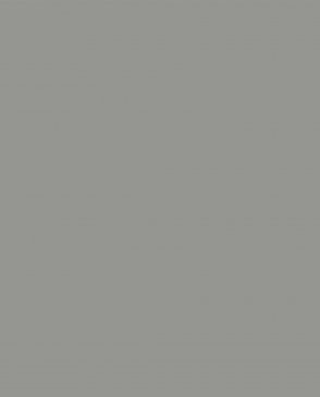 Обои Loymina Lotus Universe LOT2-115 изображение 0