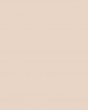 Обои Loymina Lotus Universe LOT2-205 изображение 0