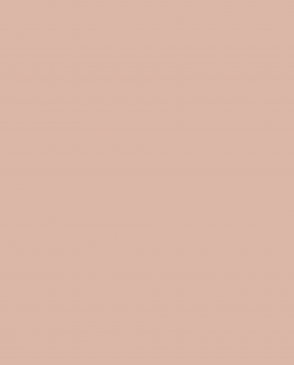 Обои Loymina Lotus Universe LOT2-206 изображение 0