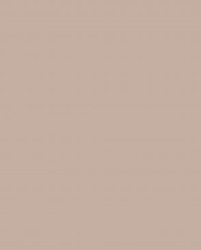 Обои Loymina Lotus Universe LOT2-404 изображение 0