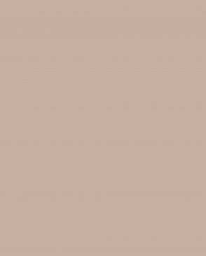 Обои Loymina Lotus Universe LOT2-405 изображение 0